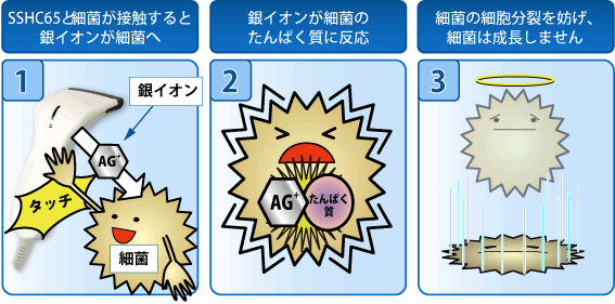 抗菌の仕組み